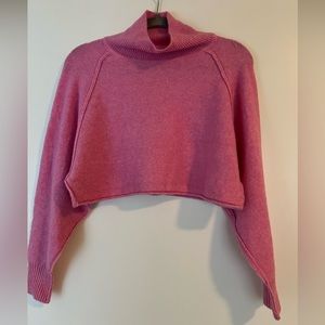 Urban Outfitters Pink Cropped Turtle Neck Vest